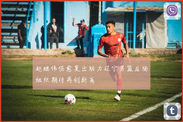 赵继伟伤愈复出助力辽宁男篮后场组织期待再创新高